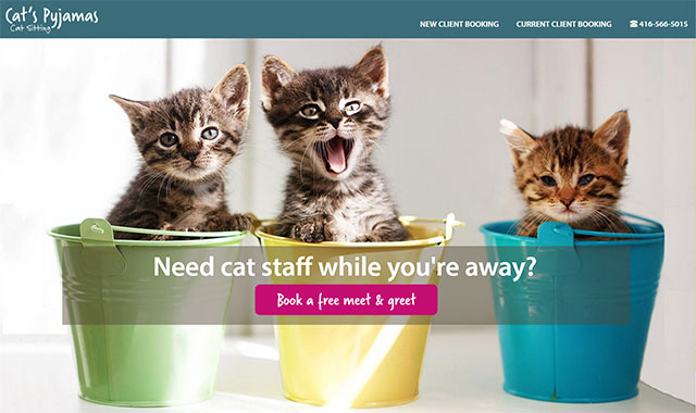 Cats Pyjamas homepage image of 3 kittens in pastel coloured pails.